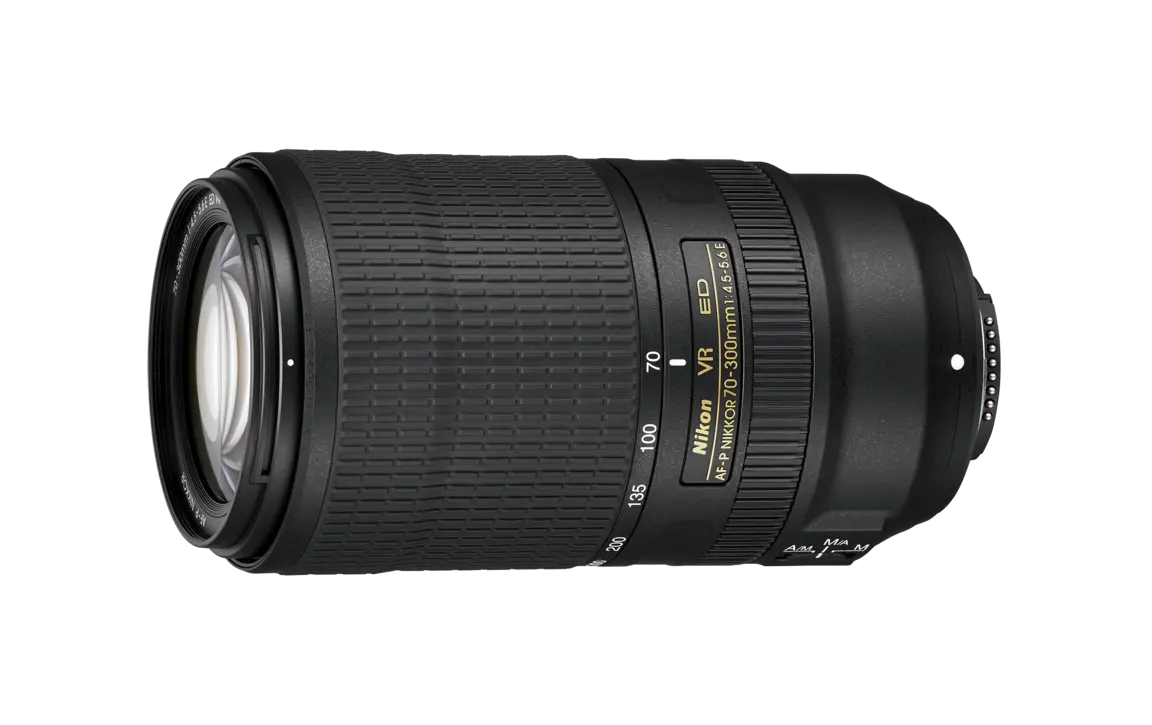 Nikon D70とED AF NOKKOR70-300 OptimizelySmallDesktopWebP