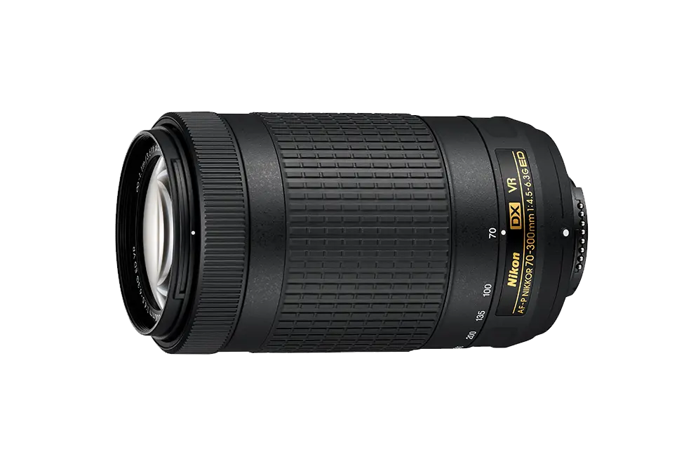 Nikon AF-P DX NIKKOR 70-300mm f/4.5-6.3G ED VR-objectief | D-SLR