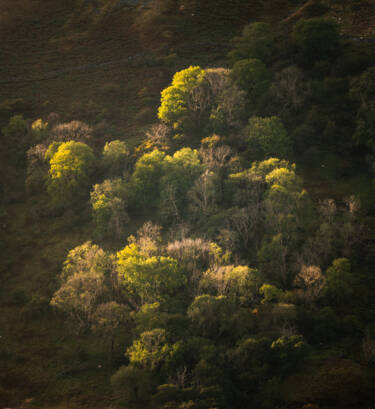 Nigel Danson assets for Nikon magazine