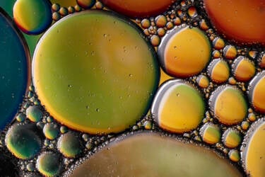 Ross Hoddinott |  Nikon magazine 