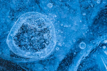 Ross Hoddinott |  Nikon magazine 