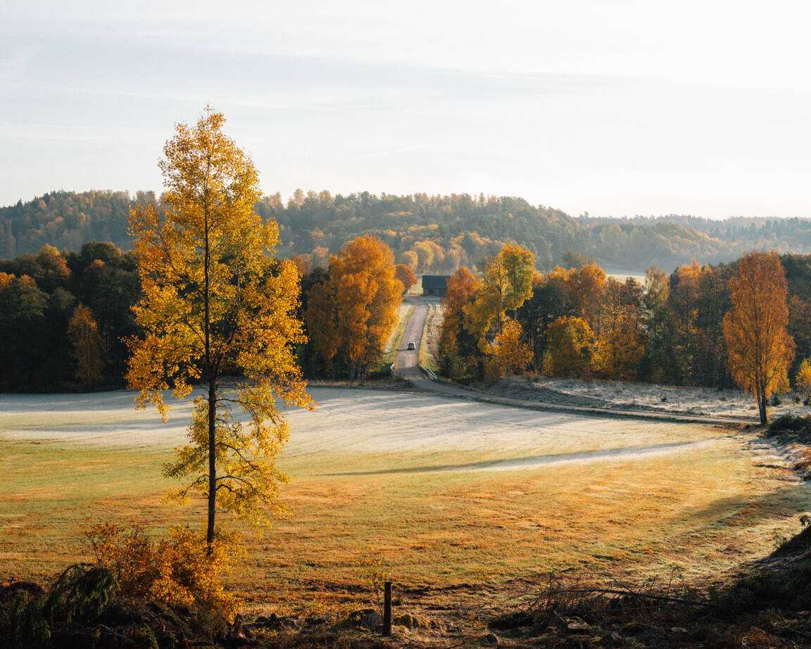 The most versatile lens in your bag: the NIKKOR Z 50mm f/1.4