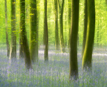 Nigel Danson images for Nikon magazine