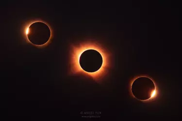 nikon-image